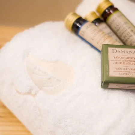 Hotel Sanchez Aínsa