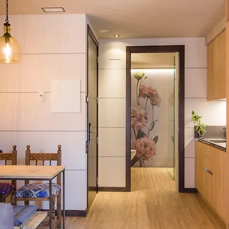 Hotel Sanchez Aínsa