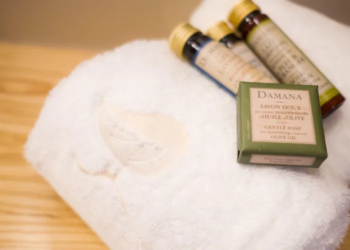 Hotell Sanchez Aínsa